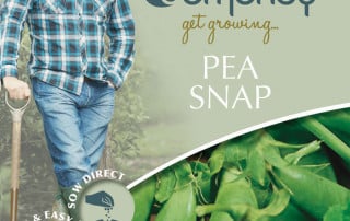 pea snap