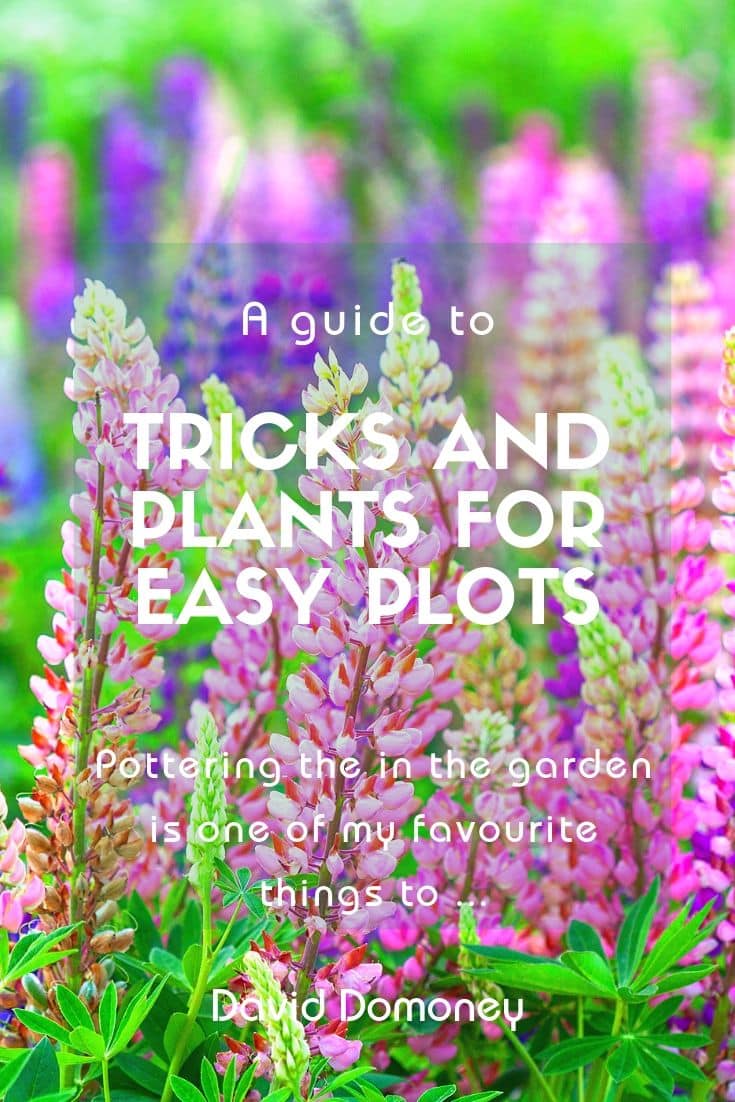 Tricks and plants for easy plots