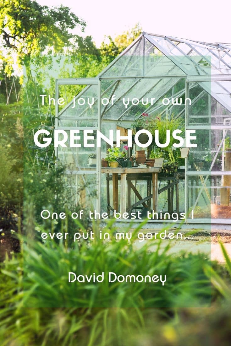 The joy of your own greenhouse