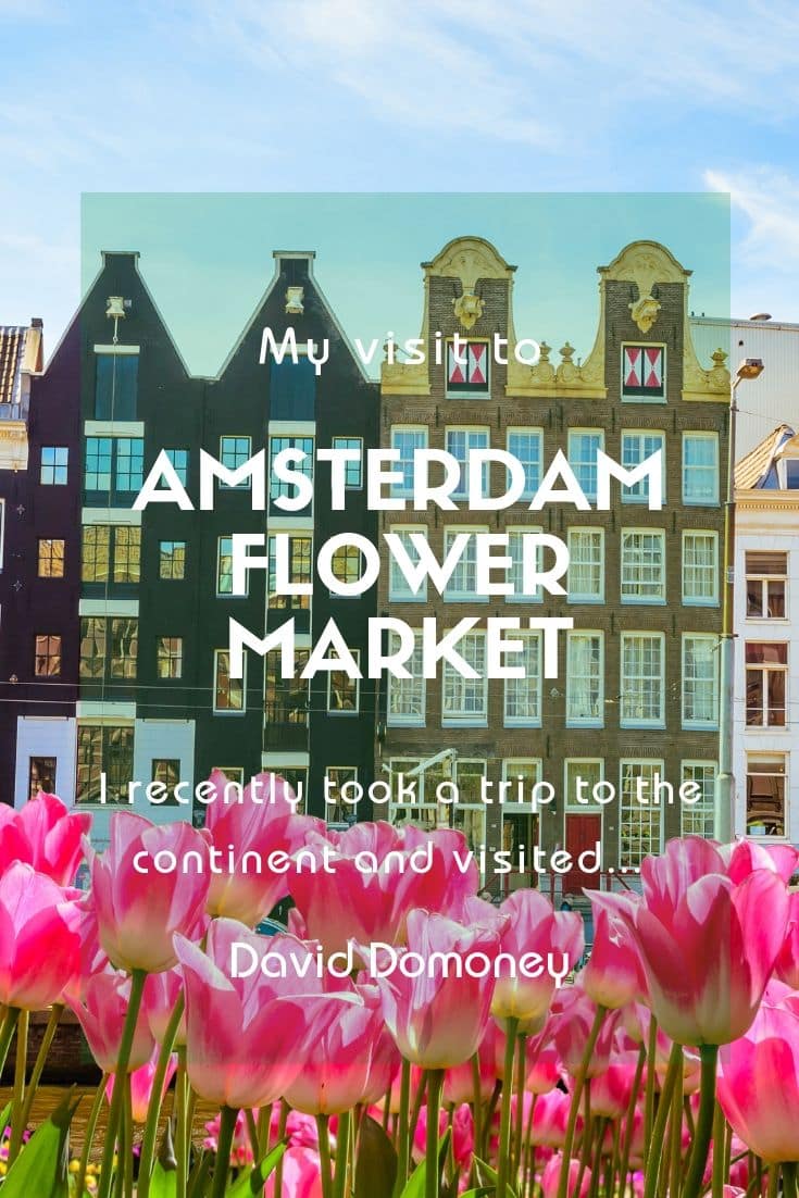 Amsterdam Flower Market 2019