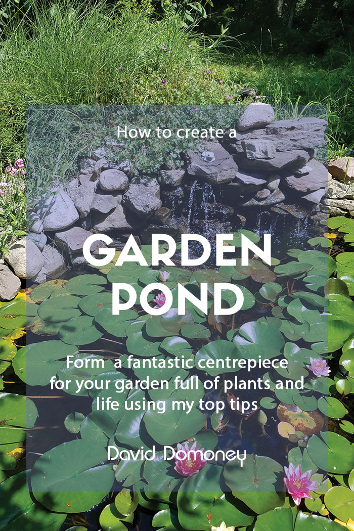 Creating a garden pond