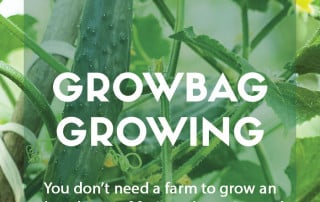 How to be great at growbag growing