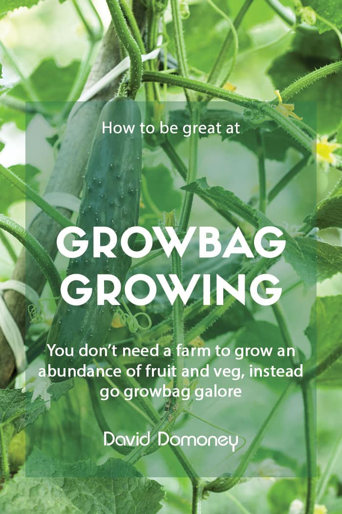 How to be great at growbag gardening