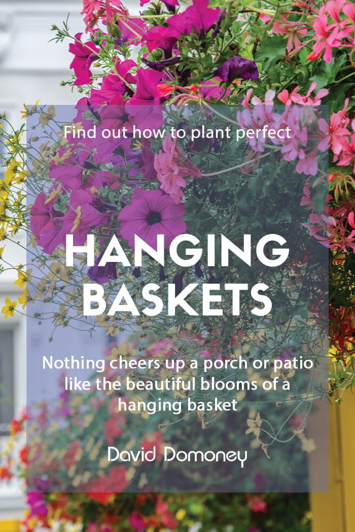 How to make perfect hanging baskets