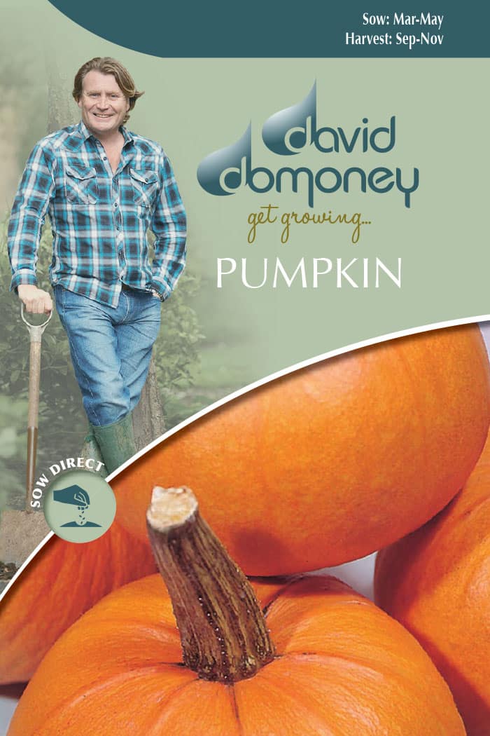 Get growing Mr Fothergill’s Pumpkin