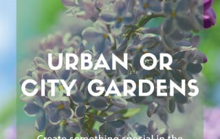 Urban or city garden plants