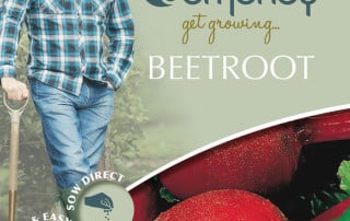 get growing beetroot