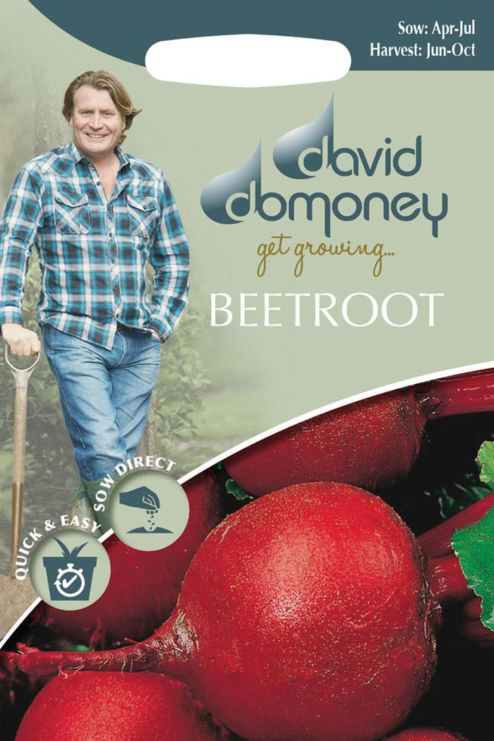 get growing beetroot