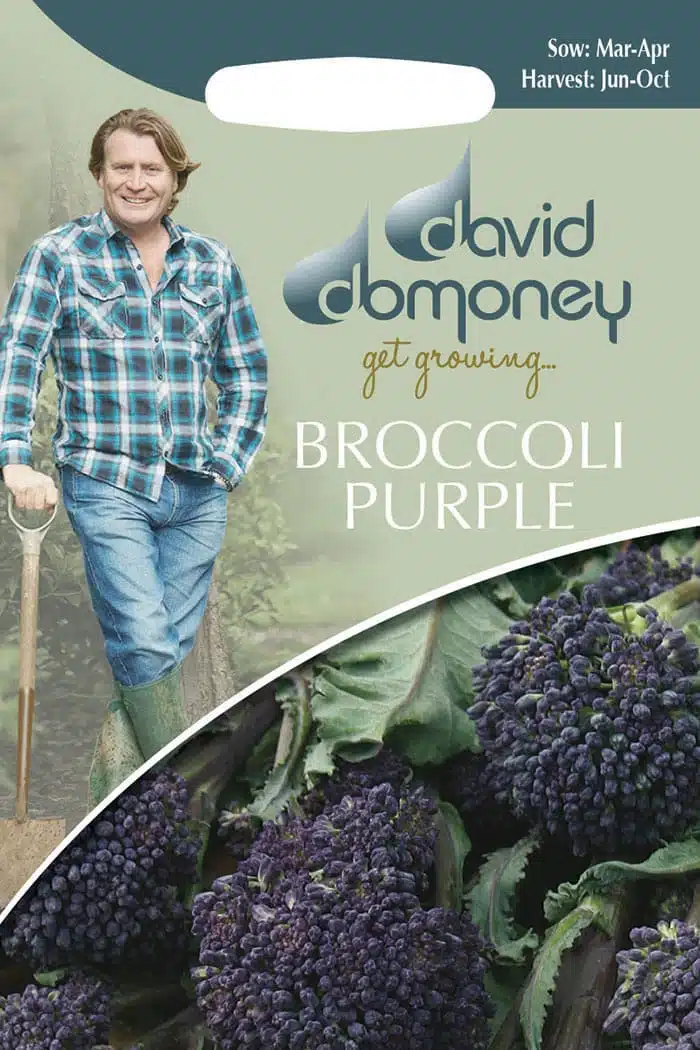 Get growing Mr. Fothergill’s Broccoli Purple