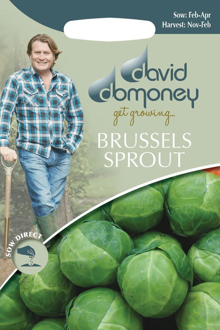 Get growing Mr. Fothergill’s Brussels Sprout