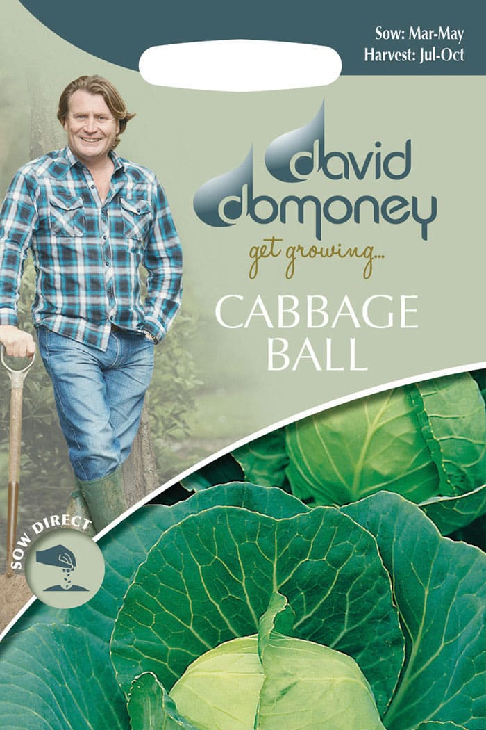 Get growing Mr. Fothergill’s Cabbage Ball