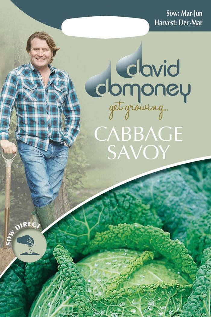 Get growing Mr. Fothergill’s Cabbage Savoy