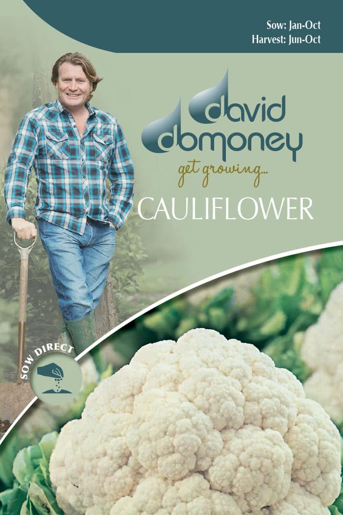 Get growing Mr. Fothergill’s Cauliflower