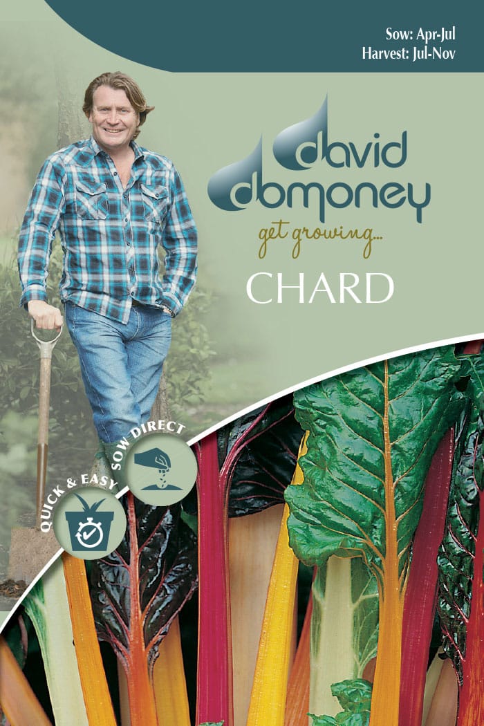 get growing chard