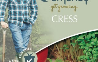 get growing cress