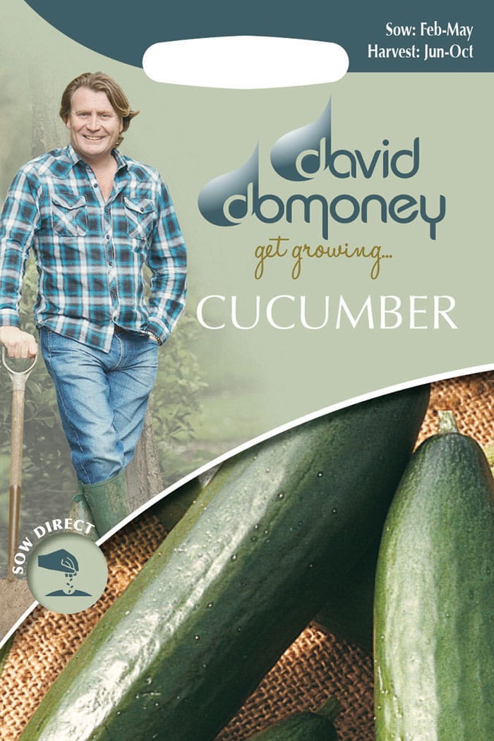 get growing cucumber