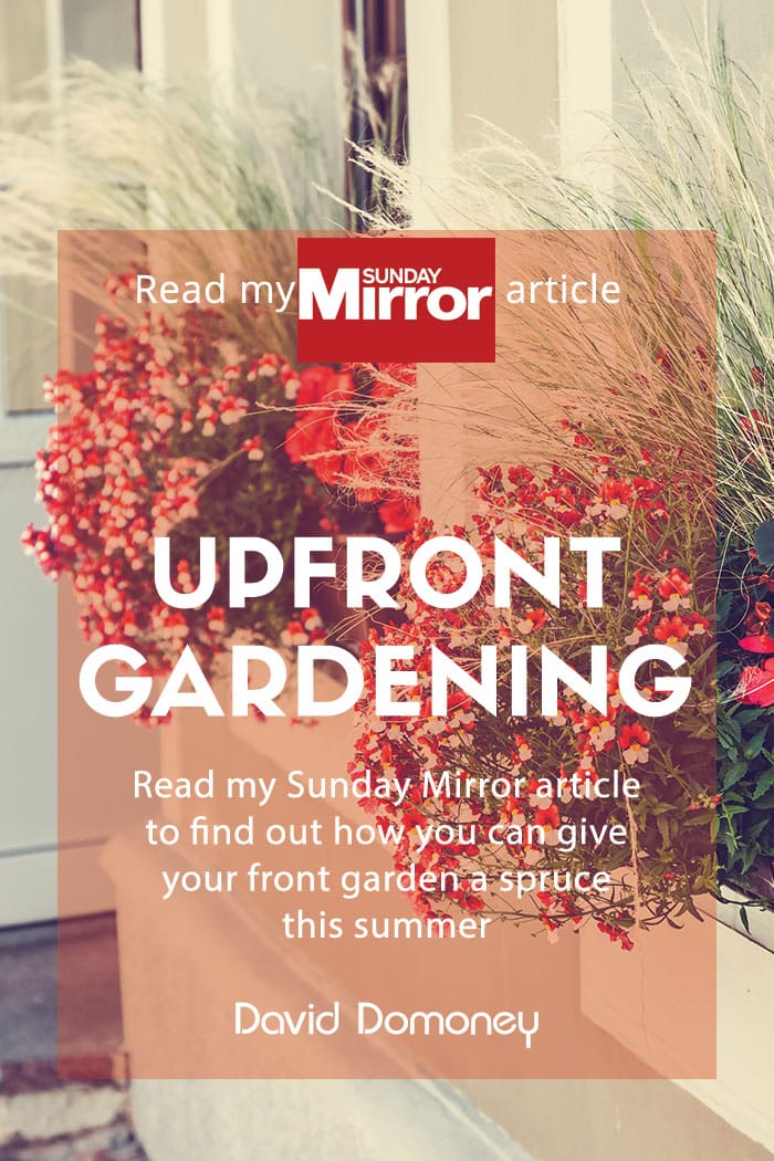 Sunday Mirror article: Upfront gardening