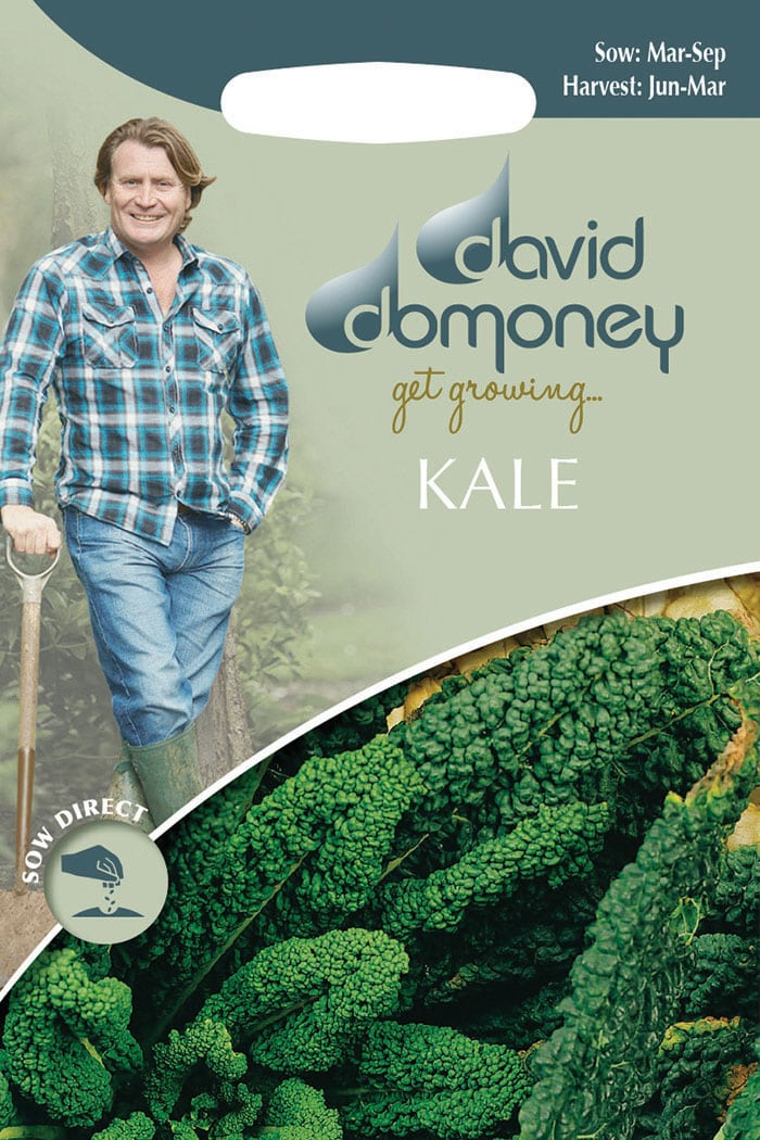 get growing kale