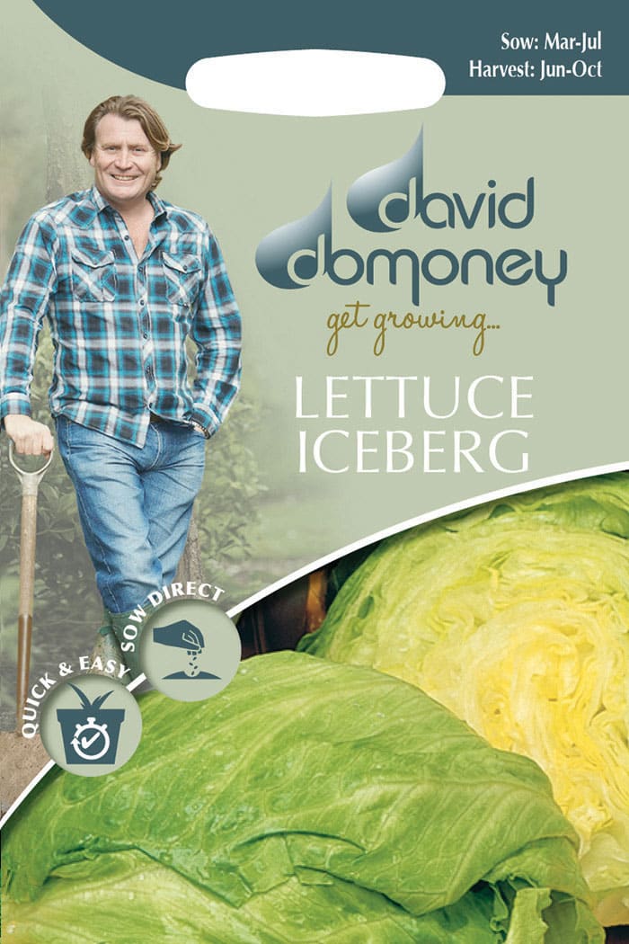 iceberg lettuce