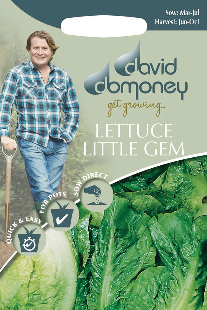 Get growing Mr. Fothergill’s Lettuce Little Gem