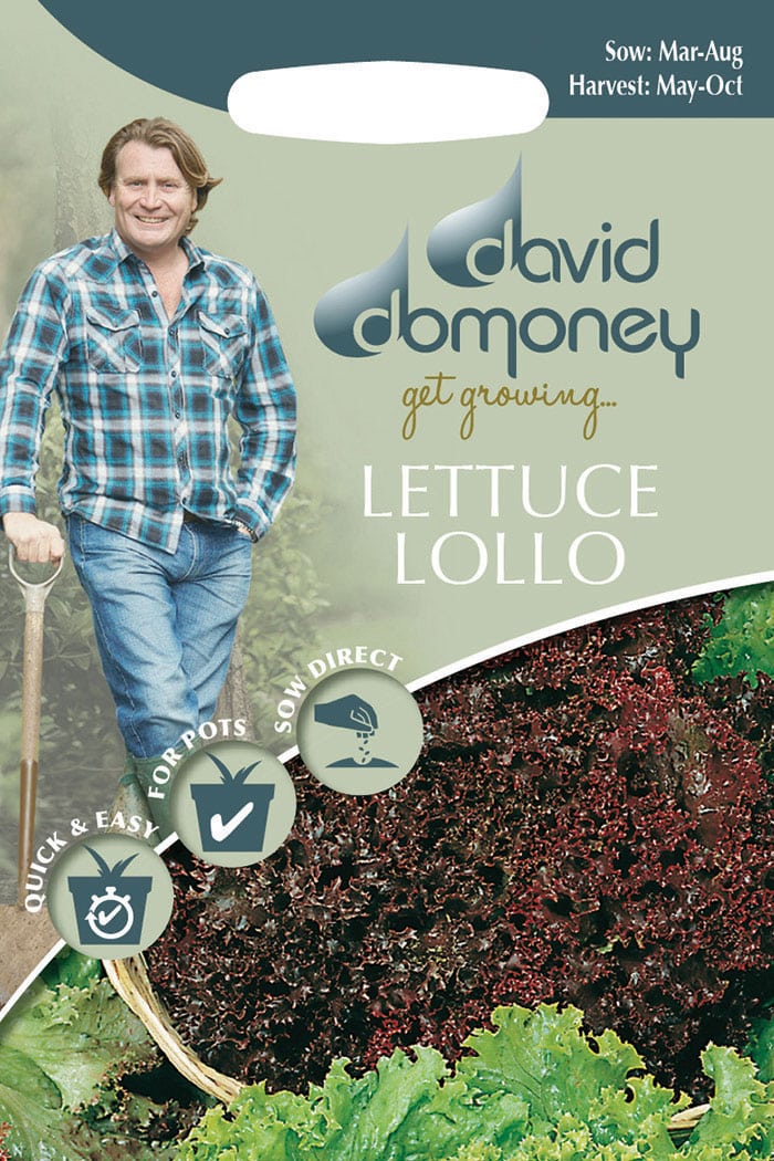 Get growing Mr. Fothergill’s Lettuce Lollo