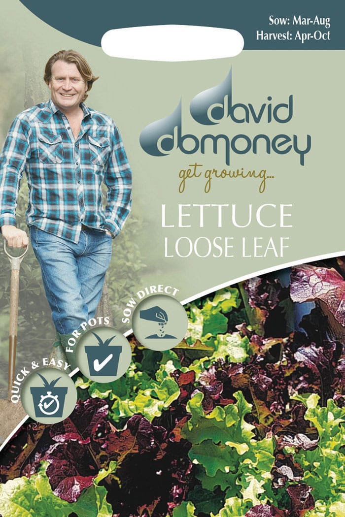 Get growing Mr. Fothergill’s Lettuce (Loose Leaf)