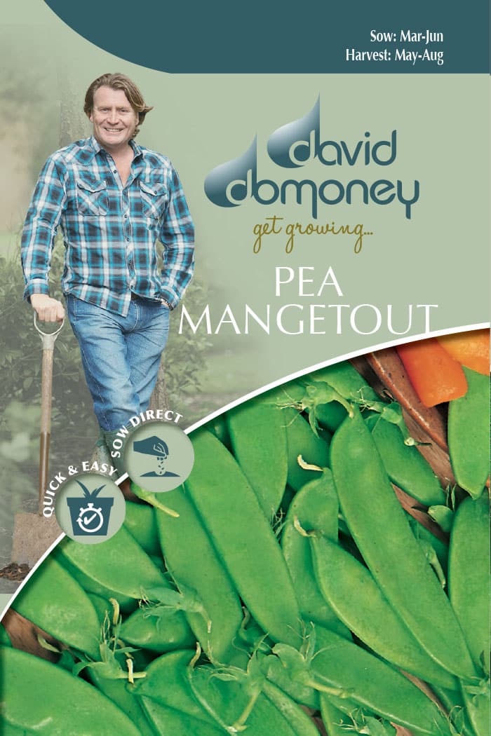 Get growing Mr. Fothergill’s Pea Mangetout