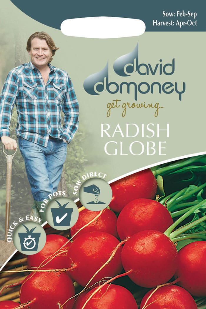 Get growing Mr. Fothergill’s Radish Globe