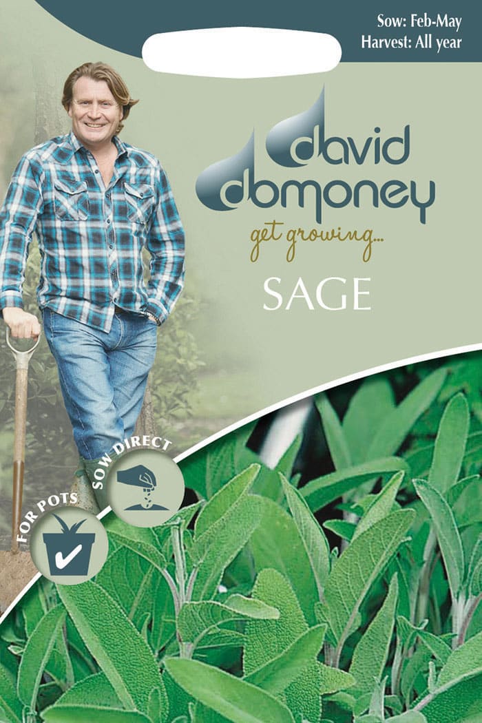 Get growing Mr. Fothergill’s Sage