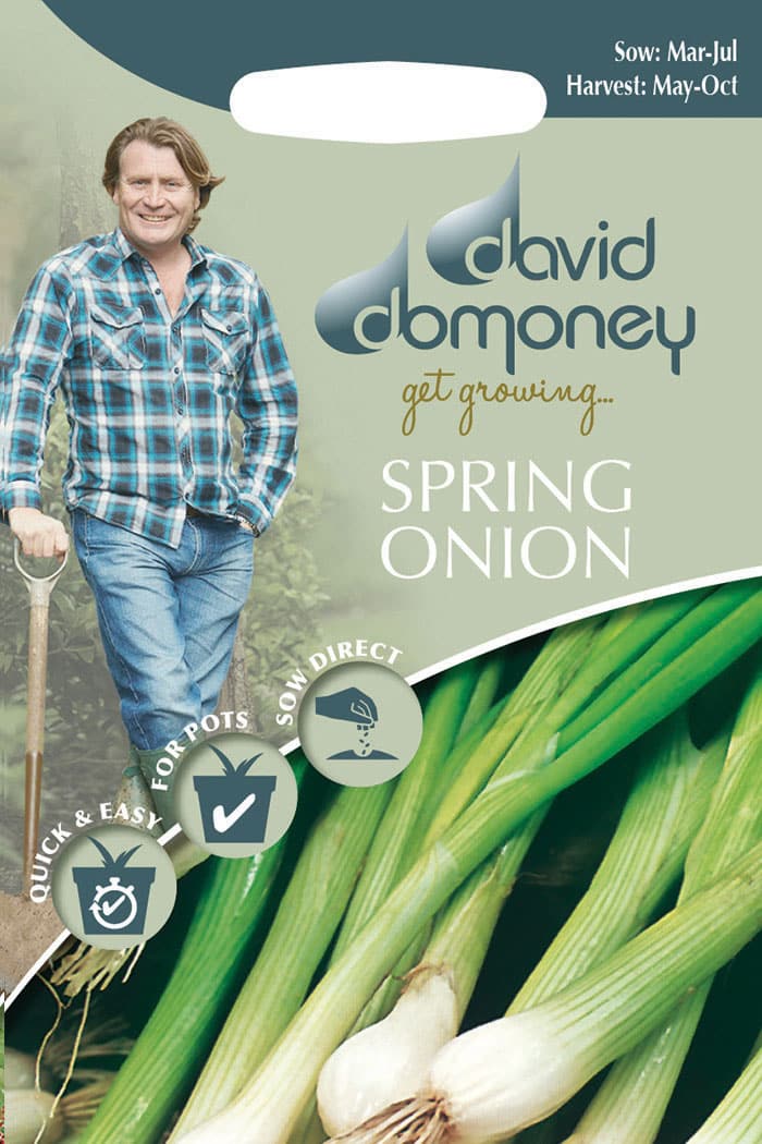 Get growing Mr. Fothergill’s Spring Onion