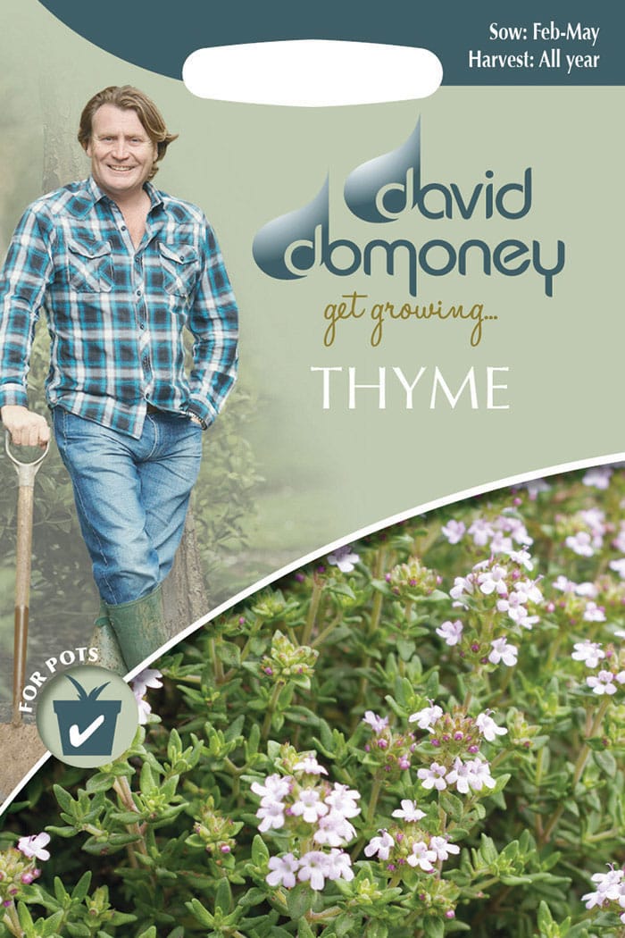 Get growing Mr. Fothergill’s Thyme