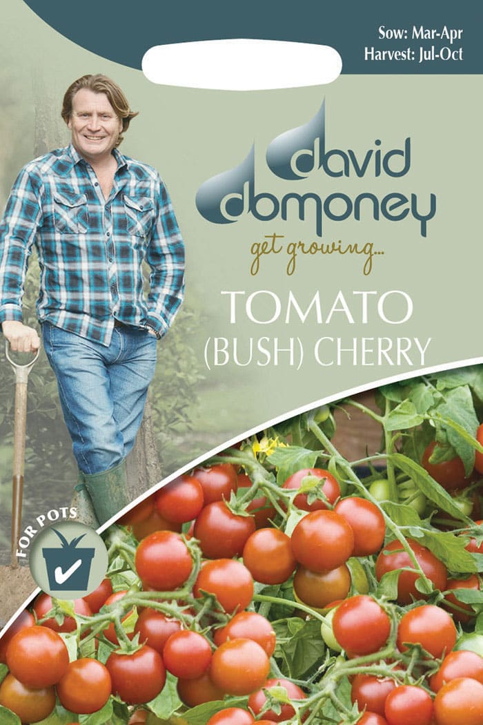 Get growing Mr. Fothergill’s Tomato (Bush) Cherry