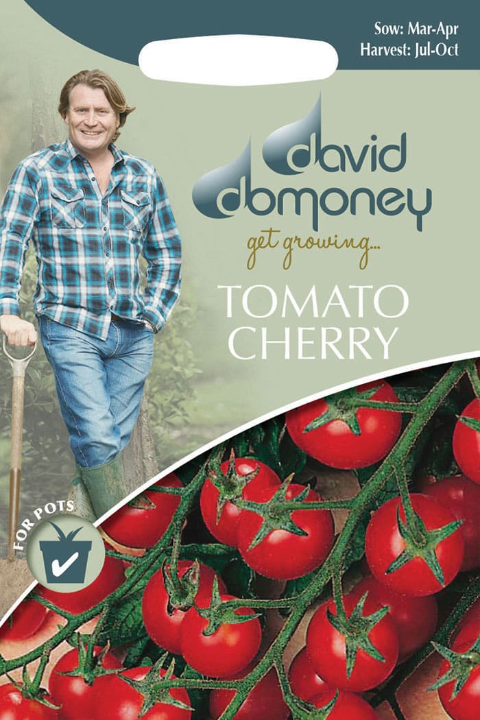 get growing tomato cherry