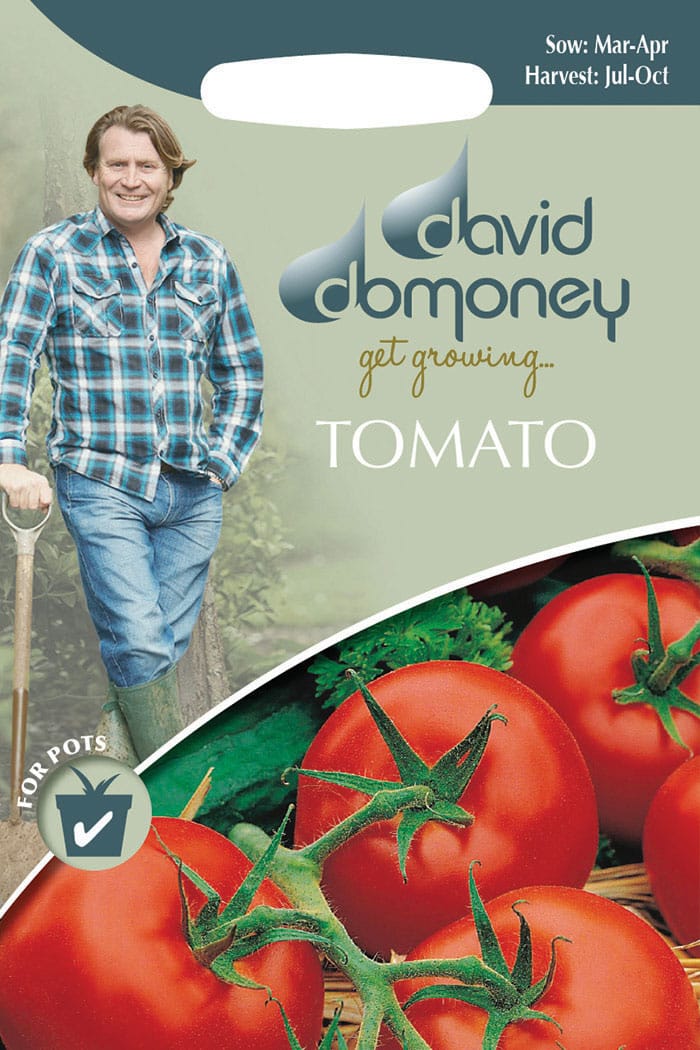 get growing tomato