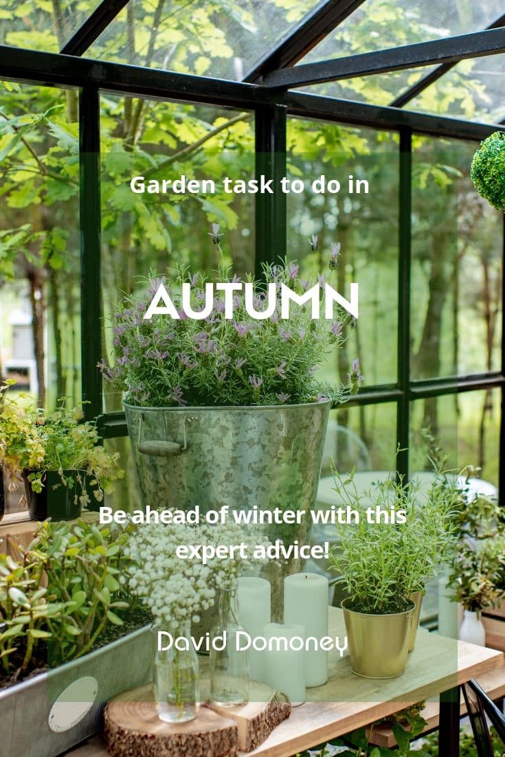 Autumn tasks to keep you one step ahead