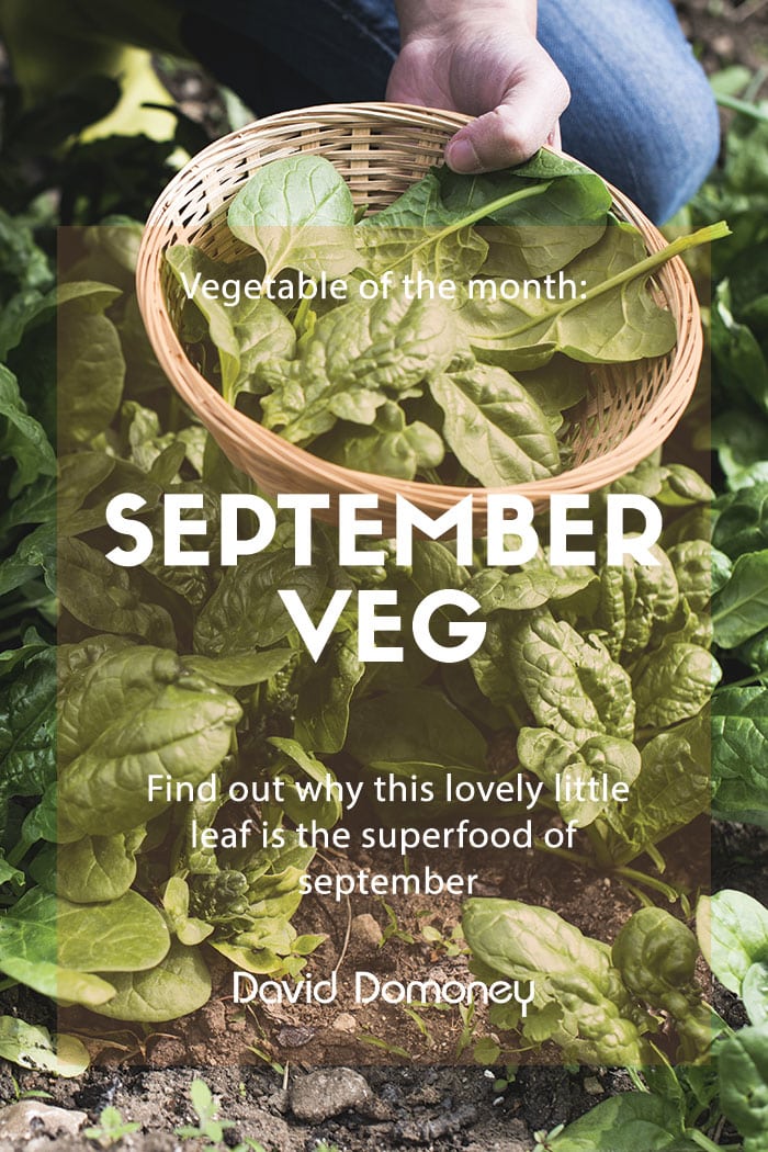 September veg of the month: Spinach