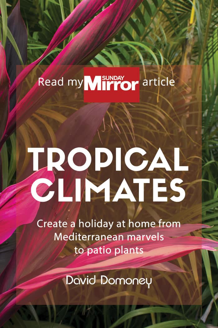 Sunday mirror article: Tropical climates