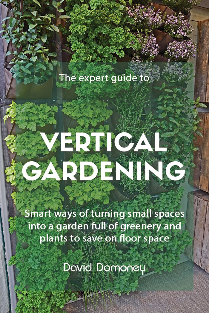 Grow Up: Vertical gardening for small spaces