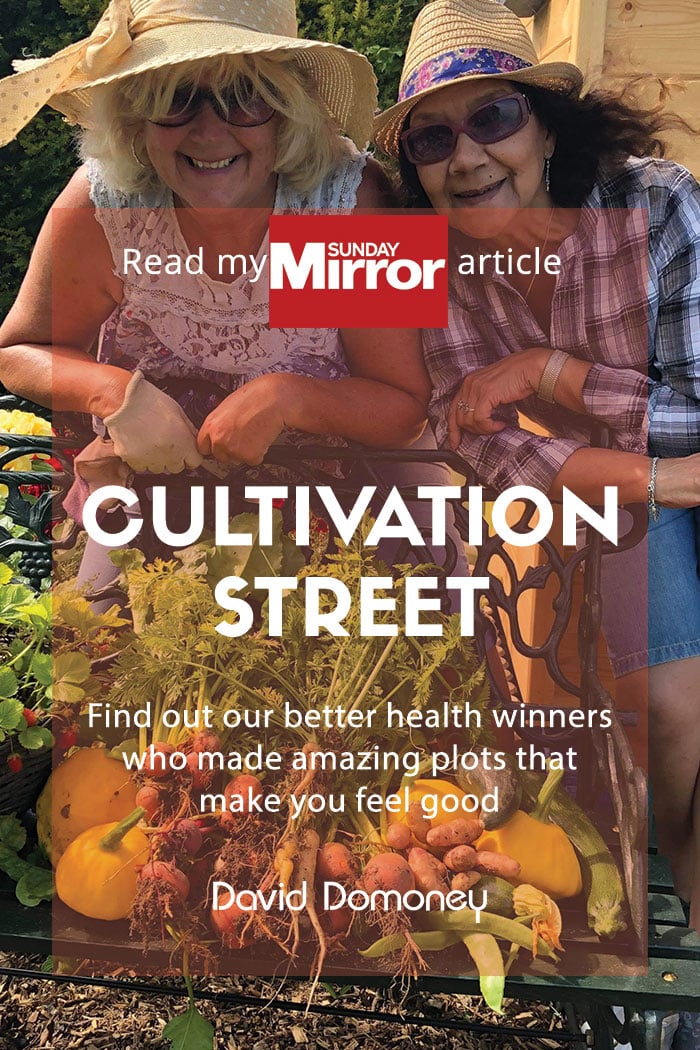 Sunday Mirror article: Cultivation Street better health winners