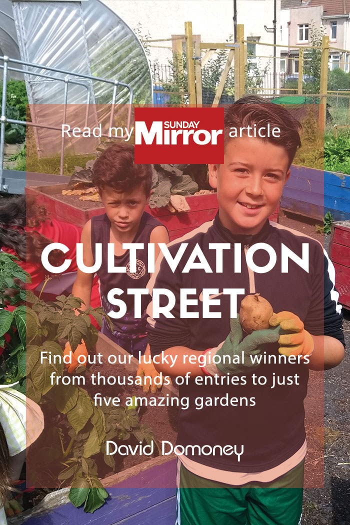 Sunday Mirror article: Community garden winners