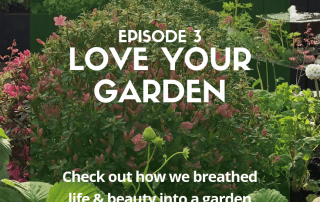 love your garden