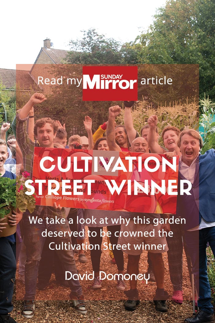 Sunday mirror: Cultivation street winner announced