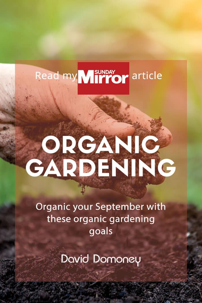 Sunday mirror article: Organic gardening