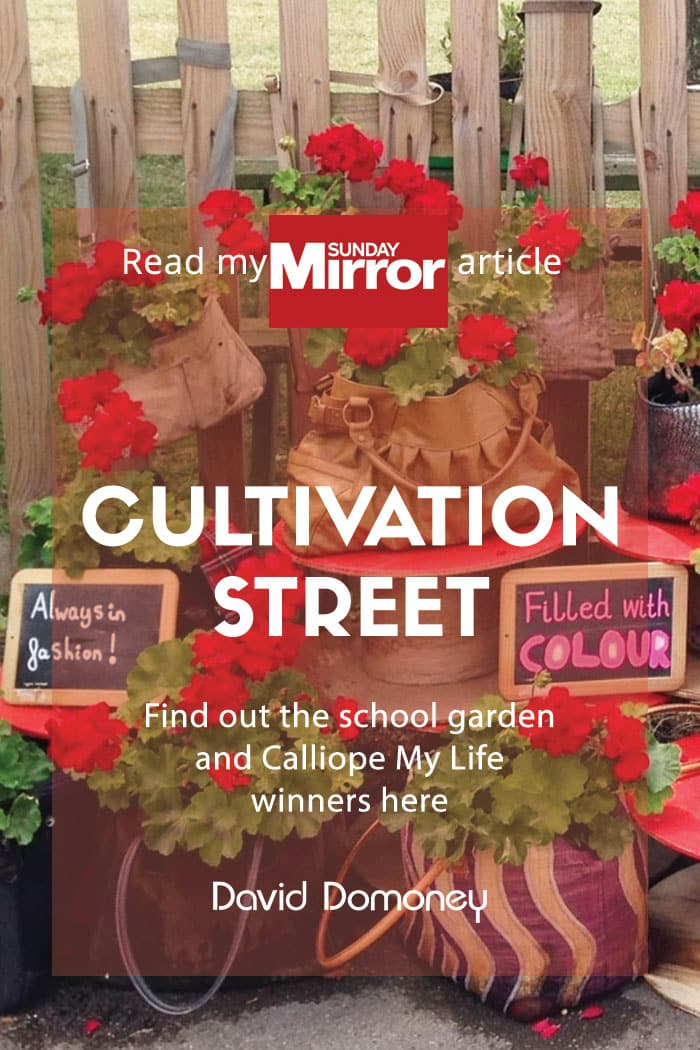 Sunday Mirror article: School garden winner & Calliope