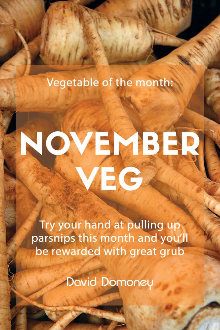 November’s veg of the month: Parsnips