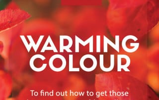 warming colour