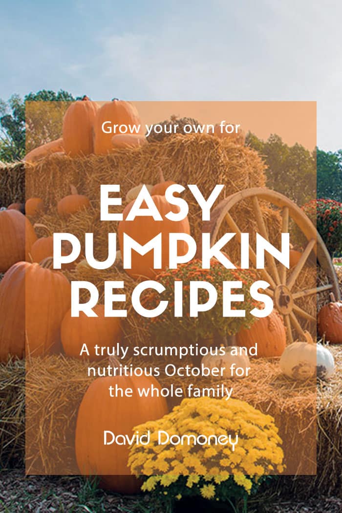 Easy pumpkin recipe ideas