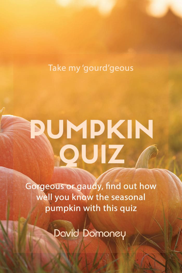 David Domoney’s ‘Gourd’geous Pumpkin Quiz