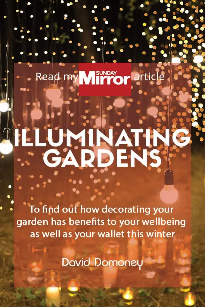 Sunday Mirror article: Illuminating gardens