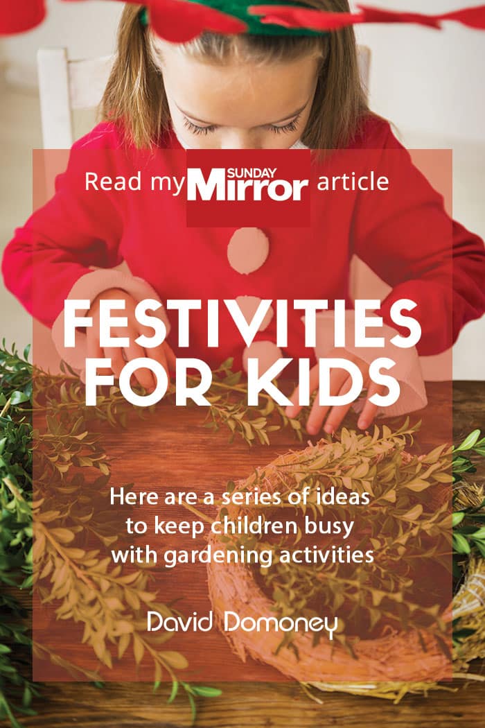 Sunday Mirror article: Christmas crafts for kids